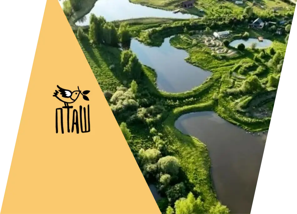 «ПТАШ» сельский музыкальный театр
